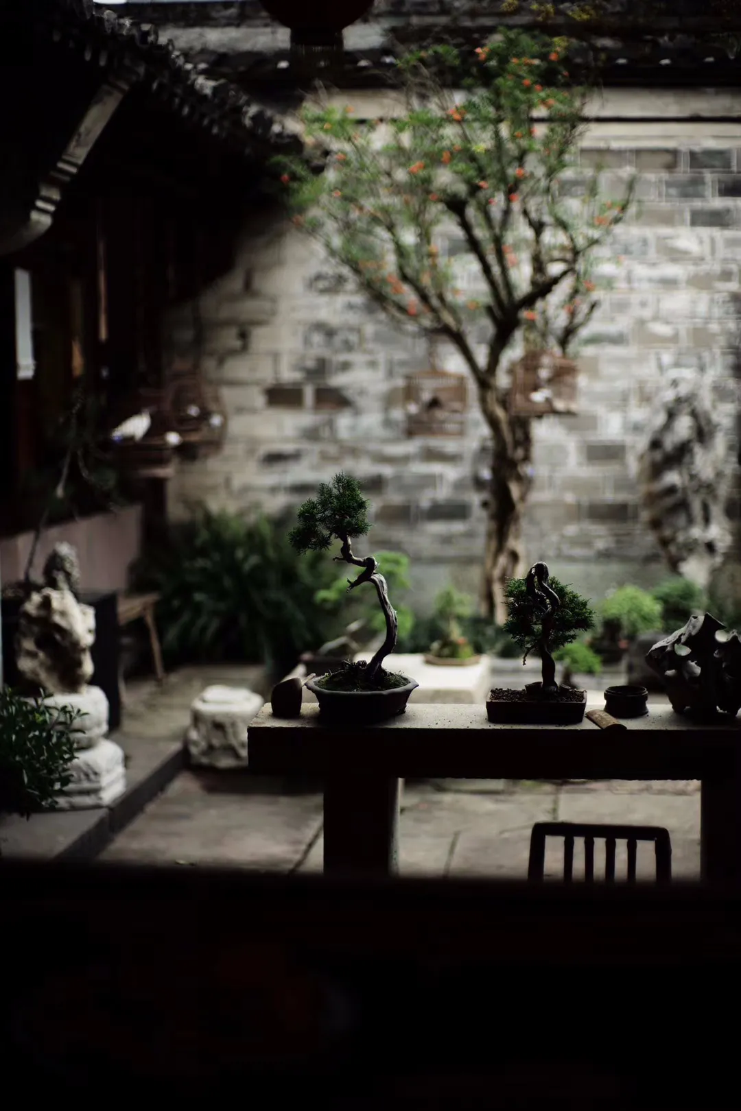 这才是中国人该住的院子,惊艳了世界!