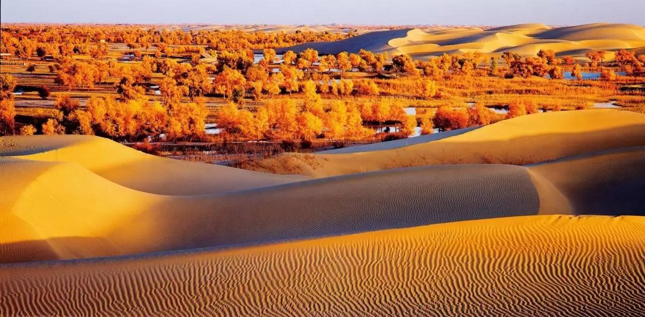 全球变暖 沙漠发洪水！气候变暖导致的“超脱现象”，人类可以做些什么？