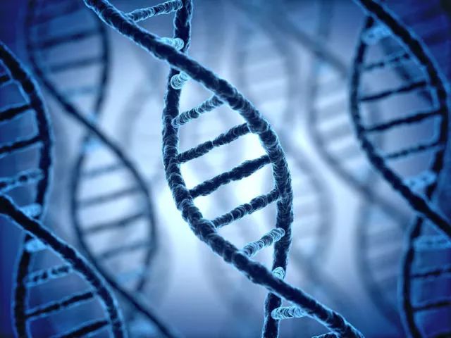 刘医生在线说 哪些因素会诱发胃癌呢？消化科医生叹息：这5个因素希望你能重视