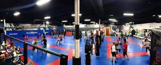 萌孩控分子|张伟丽身后站着三大高手,塞胡多+斗牛犬+韩国僵尸将让她复仇成功