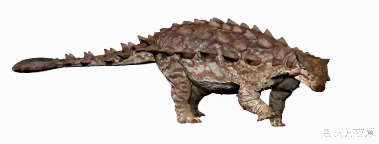 恐龙 比恐龙还要古老的10大地球统治者，每个都是顶级掠食者