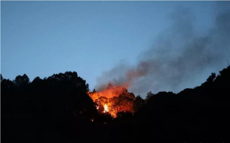 城外五十九 四川凉山冕宁山火历经6天才扑灭，凉山为何总是容易爆发大火？