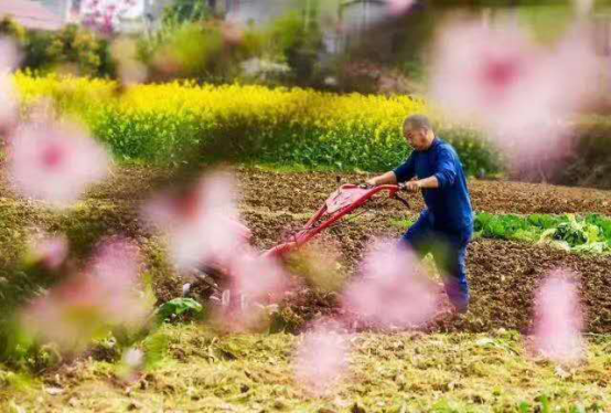 东游记二师兄 春季踏青，农耕时节