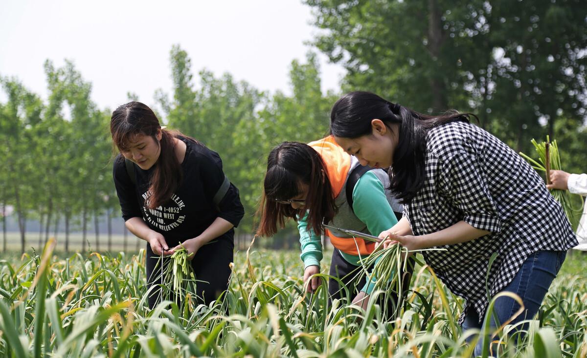 陈数|烟草局一般去哪些学校招聘呢？