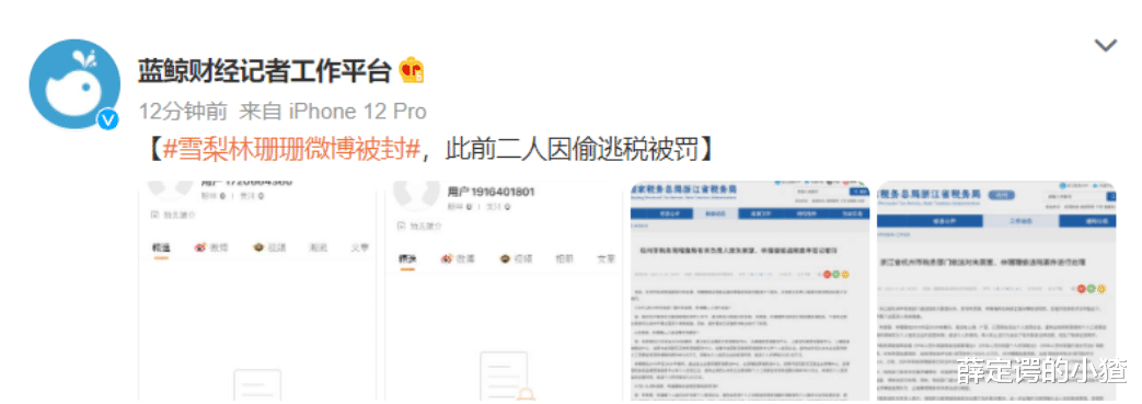 赵本山|从马云门徒、王思聪前女友，到逃税6500万遭封杀，雪梨经历了什么