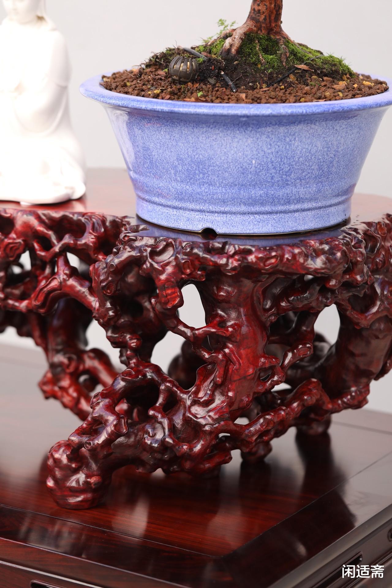 根雕|古雅空灵，小叶紫檀，超大根雕赏几，文人雅室清赏摆件