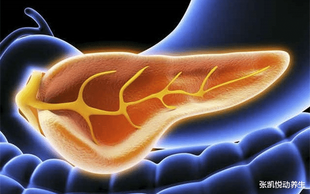 血糖|这3种食物是“升糖王”：糖友管不住嘴，打再多胰岛素也没用