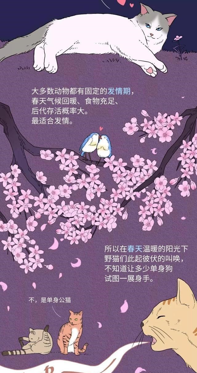 霍金 动物“发情期”只在春天，为何人类却全年无休？一组漫画「揭秘」