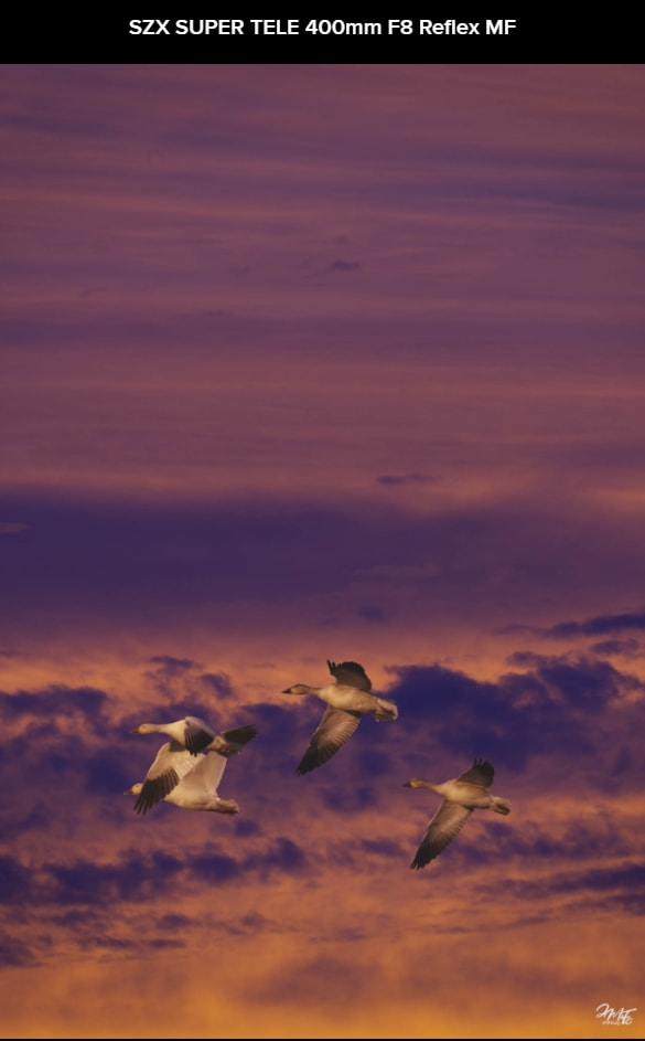 |肯高图丽正式发布折返镜头400mm F8 N II S