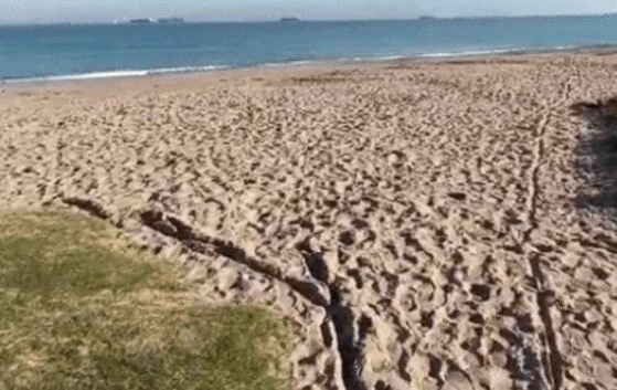 外星人 男子自称穿越而来,外星人2022年登陆地球,和我们展开最终决战