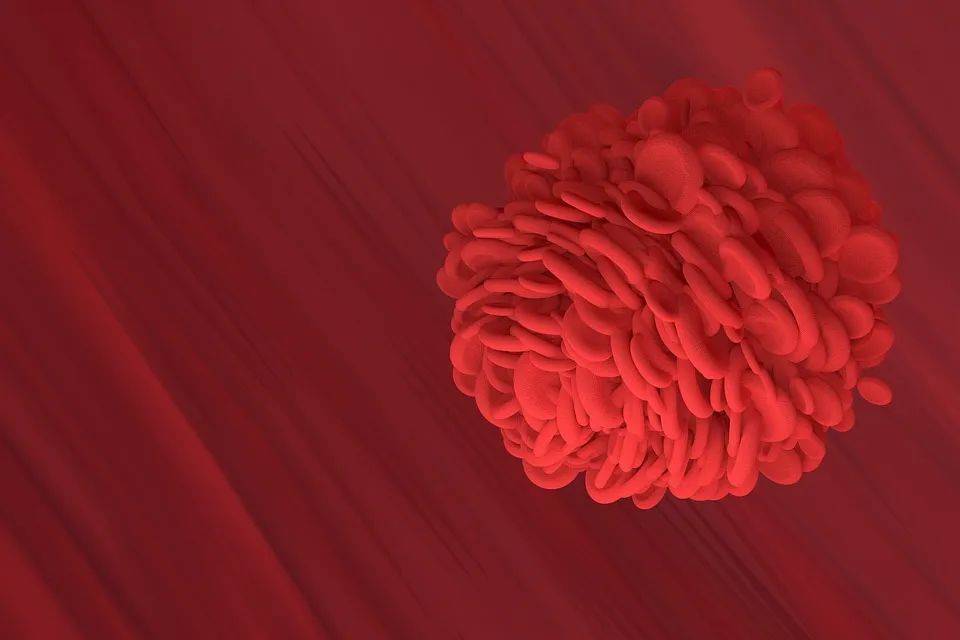 科学家 20年攻关，我国突破“万用人造血”，全球范围最接近人天然红细胞