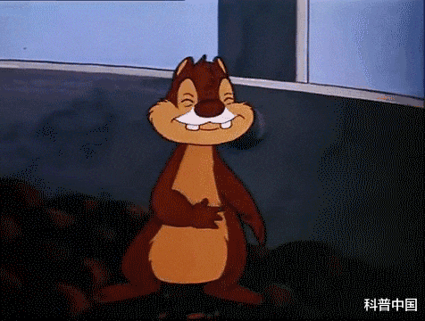 宫颈癌|清淡饮食=喝白粥？医生口中的\清淡饮食\原来是这样