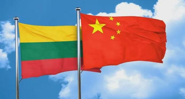 立陶宛|没中国果真不行！立陶宛总统公开喊话中国，华春莹早已说透彻