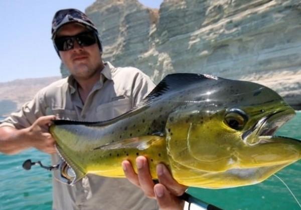 |为啥钓鱼人大多不喜欢吃鱼，看完这几个原因就知道为什么了