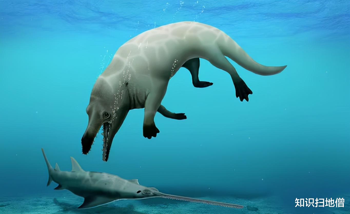 既然说鲸是从陆地进化到海里，那么鲸在陆地的祖先是谁？有没有发现鲸从陆地到海洋的过渡状态？ - 知乎