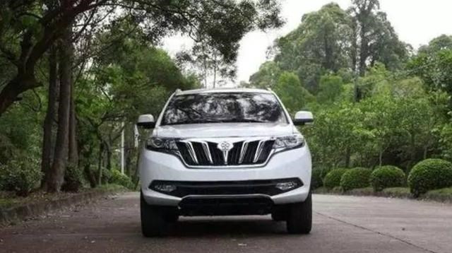 情窦初开的青春|格力收购银隆新能源，董明珠67岁高龄出征，会惨淡收尾吗？