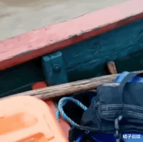 为什么蜈蚣毒性很大,却对公鸡毫无作用呢?真的是知识盲区啊