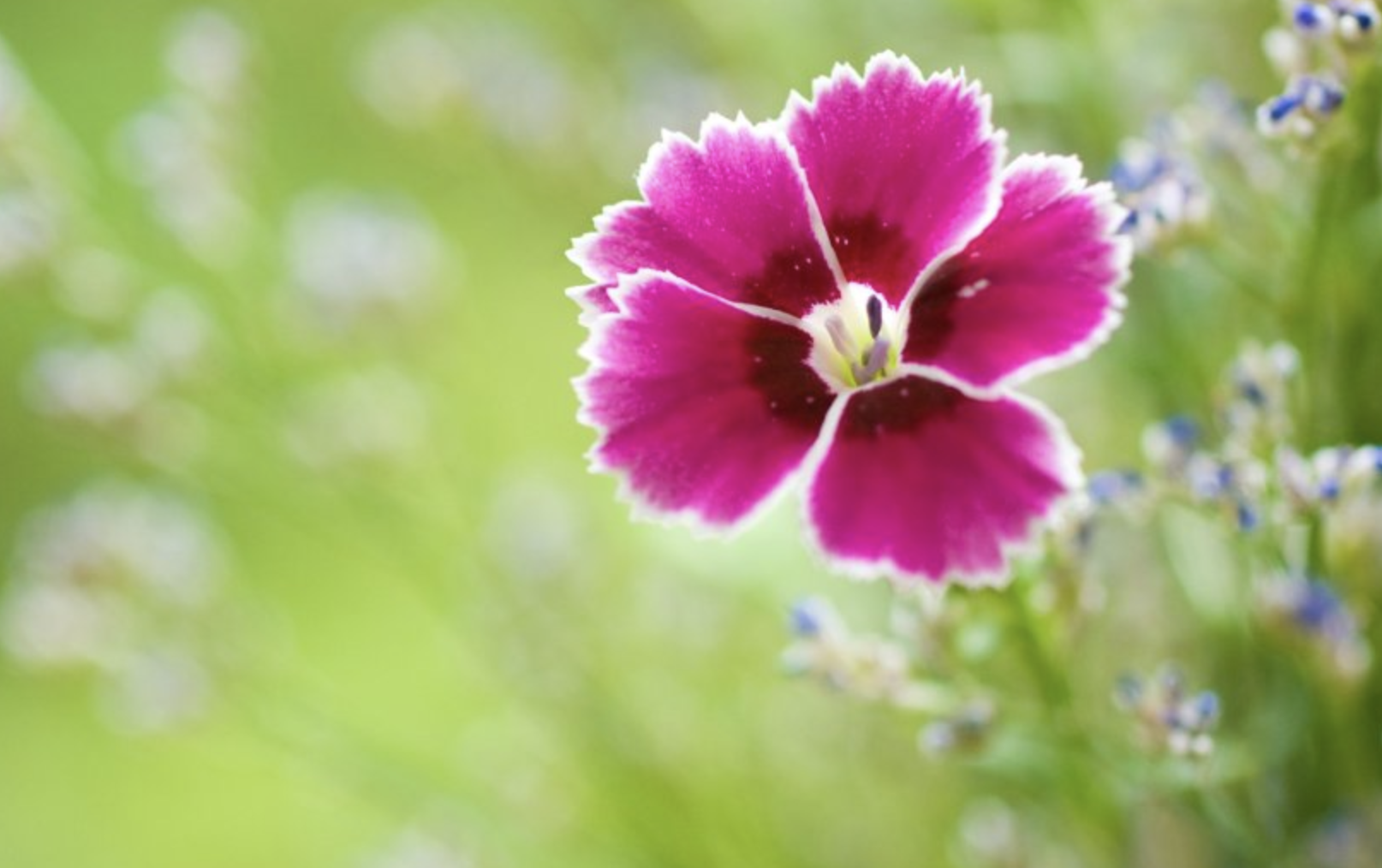 |8月，职场遇贵人，咸鱼能翻身，3大属相触底反弹，否极泰来，生活大好