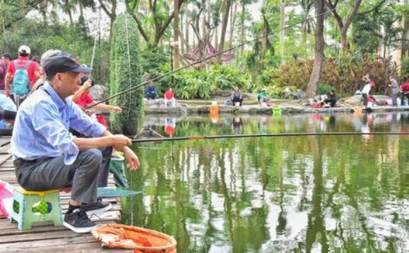 池塘|90后游戏玩家现状？打牌钓鱼逛风景沉迷广场舞，提前过退休生活