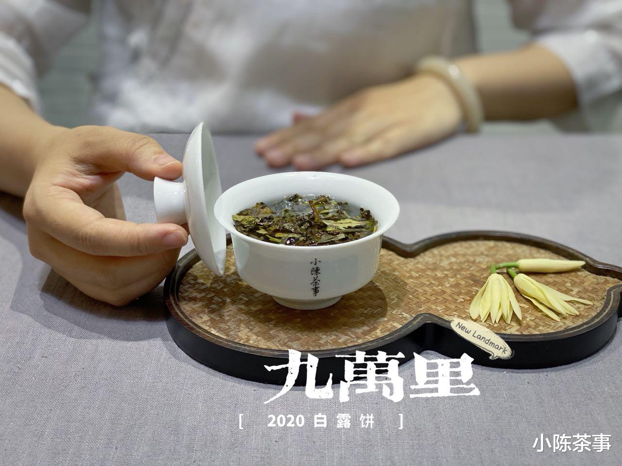 茶具|冲泡白茶的3大误区，茶具、泡茶水、泡茶方式，一次性说清楚