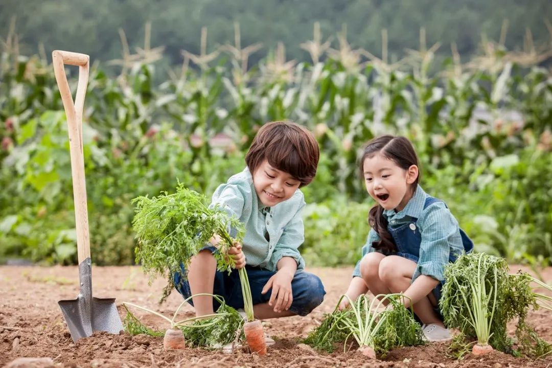 幸福孕孕|情绪密码—揭示儿童情绪的力量