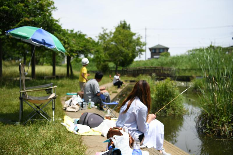 池塘|【钓鱼打窝】鱼习性，选好窝子位置，理解“钓鱼无草，纯粹白跑”