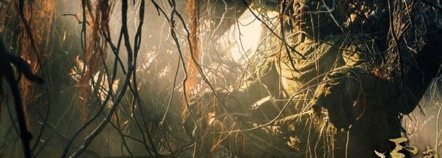 云南虫谷|太可惜！词条都没显示首播时间了，《云南虫谷》8月恐难播出！