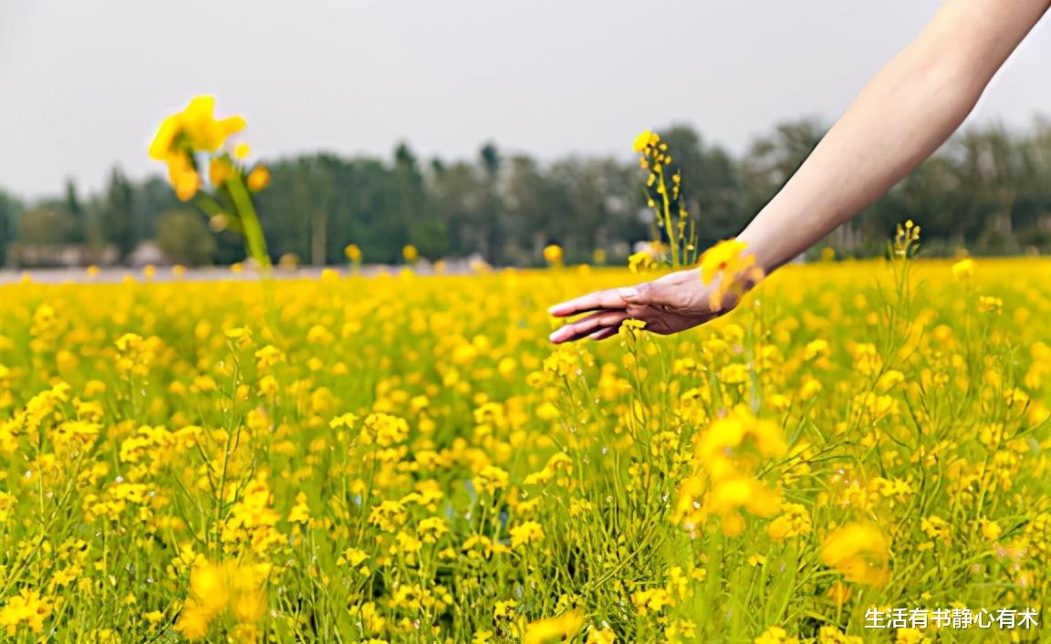 生活有书静心有术|涨知识，每日一点冷知识