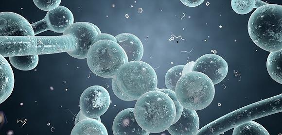 科学家 僵尸蚂蚁已经出现，这种寄生真菌会给人类带来生化危机吗？