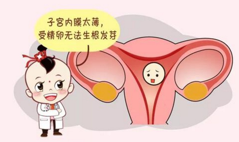 茶余饭后一点酒|医生一句“子宫内膜薄”，结束了一对幸福婚姻