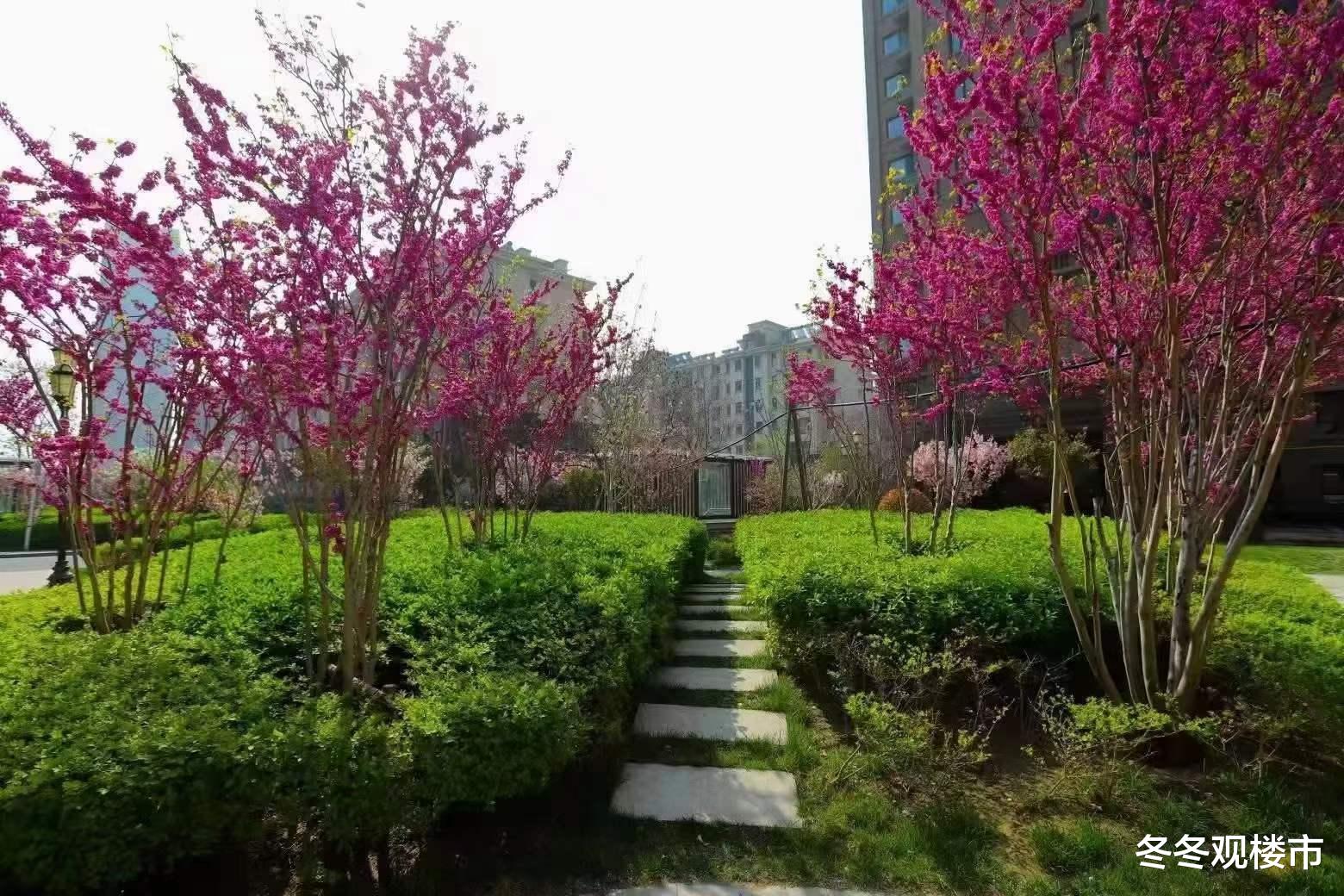 保定|保定楼市性价比相对来说比较高一些的二手房小区推荐