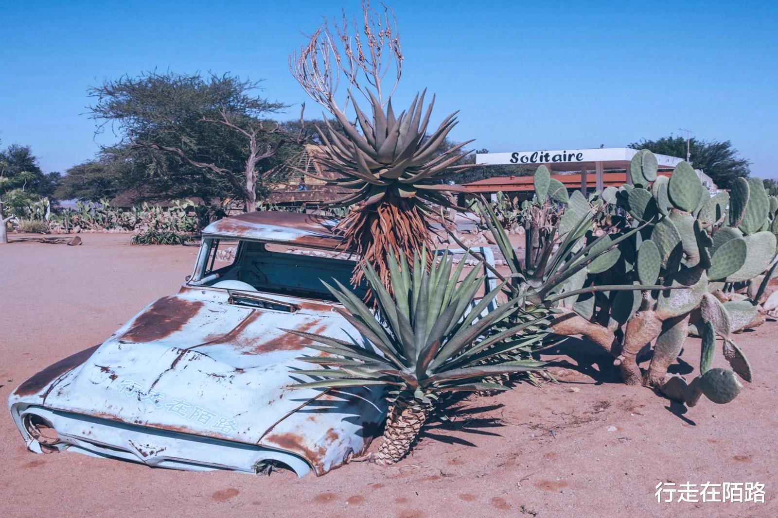 火箭队 “平底锅计划”：中国人远赴非洲治沙，中国游客被特殊照顾