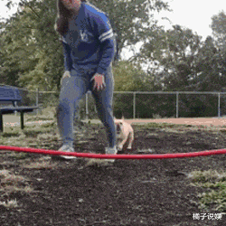 发型 “这位外卖小哥,看到这地图的时候,一定是一脸懵!”