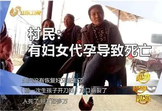 郑爽|郑爽最新回应惹怒几亿中国人，王思聪：这回都信了吧！