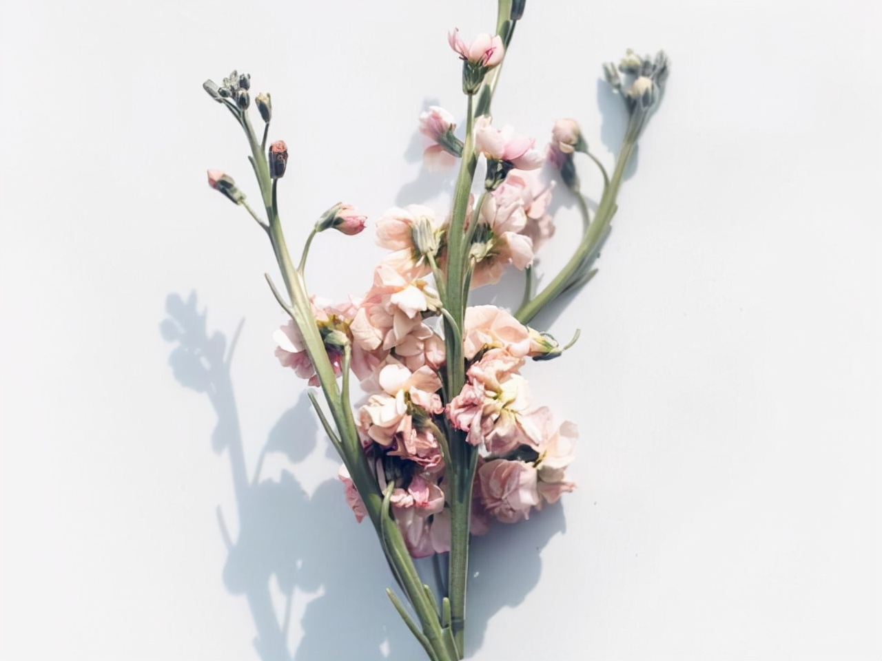 星座师安达 双子座：不要去试探他们，一旦试探，可能朝着相反的方向发展