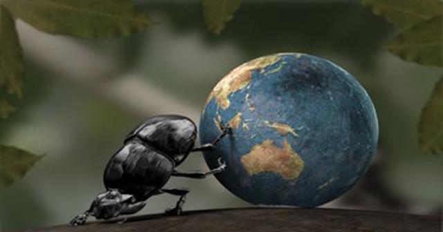 科学家 美国出现不死生物, 火越大繁殖越快, 科学家至今不知道原因