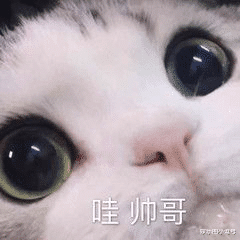 倪萍|54岁景岗山与牛莉热舞却酒不离手，曾因醉酒当街发疯，对着空气挑衅惹人非议！