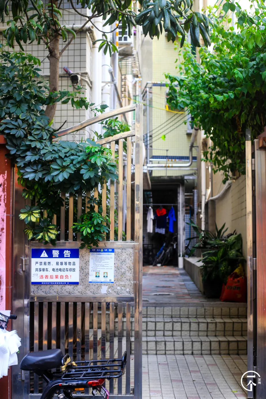 房地产市场|深圳“养生村”，租金才1200？