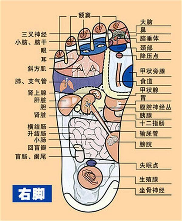 跑步|脚掌称为人的“第二心脏”,一个穴位,具有滋阴补肾,颐养五胜六腑的作用