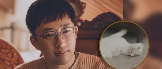 沙溢|沙溢事件上热搜持续发酵，粉丝质疑有团队故意为之