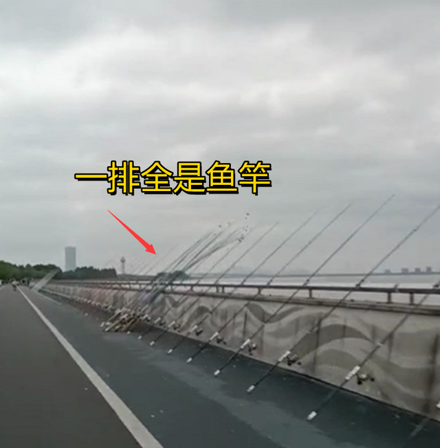 摆摊|浙江男子想钓鱼,发现桥上摆了一排鱼竿:是来摆摊的吧?