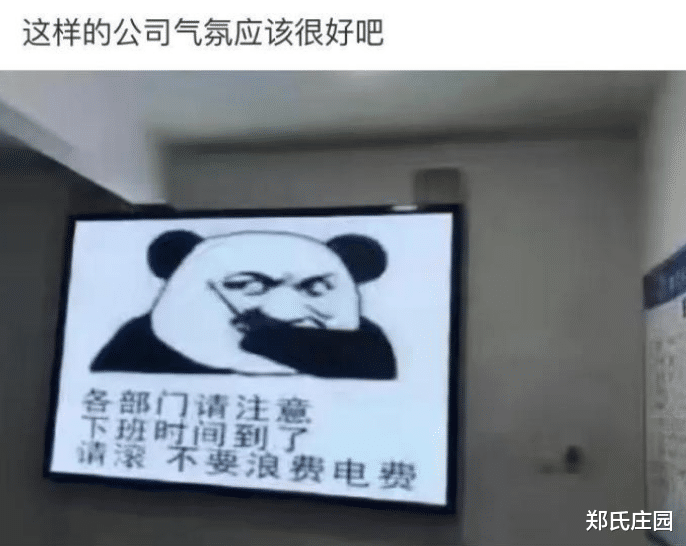 高校|上班就是为了加班，不让加班上什么班？这公司还有什么前途？