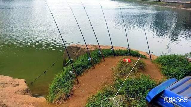 广西|广西一河道成垂钓乐园，带上了帐篷和锅碗瓢盆，路边直接叫卖鱼获