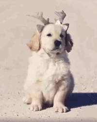 萌控孩|盘点那些“被捉奸”现场，不得不说的确超级尴尬，简直笑死我了！