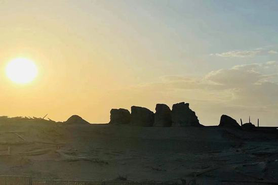 科学家 植物学家深入大漠,一心赴死还是另有隐情?黄沙之下有什么秘密?