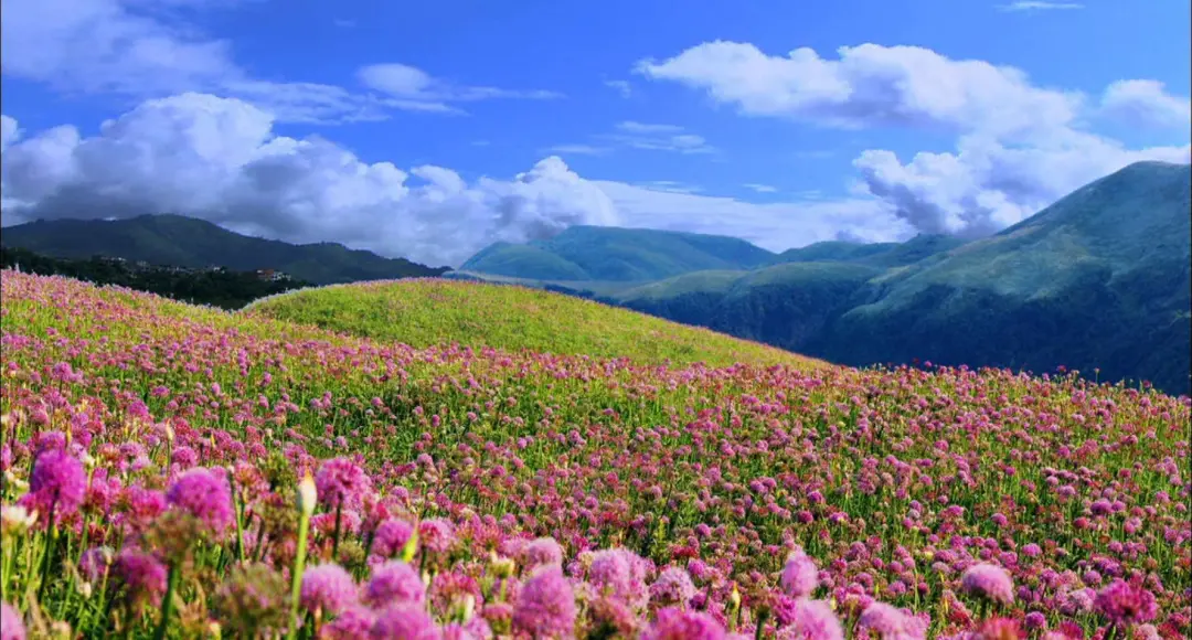 伊犁 5月份国内最美的8个地方，千万别辜负了这么美的初夏