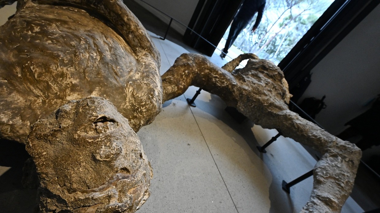 达夫观察 专家:庞贝古城的居民在15分钟内死于火山灰和有毒气体,而非熔岩