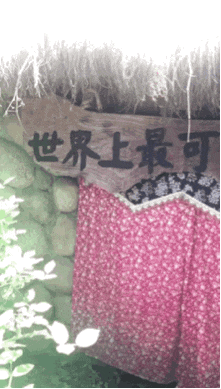 半暖时光|这些真实的电影镜头,有多少人误认为是特效?被骗了很多年,哈哈