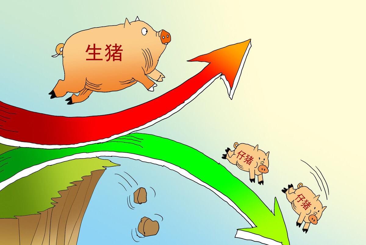 2021“豬”事不順：牛豬拒收、限重、大跌65%，何時起底反彈？-圖5