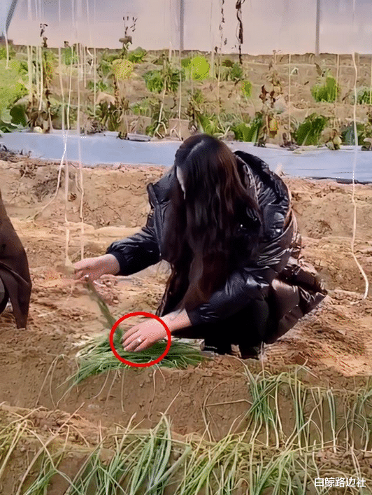 陈亚男|大衣哥儿媳罕下厨！灶台上油渍霉菌太邋遢，陈亚男穿白衣被疑作秀